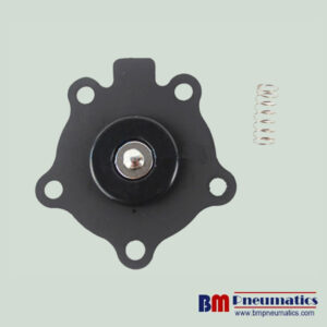 96875 238864 3/4'' NBR Diaphragm Repair Kits